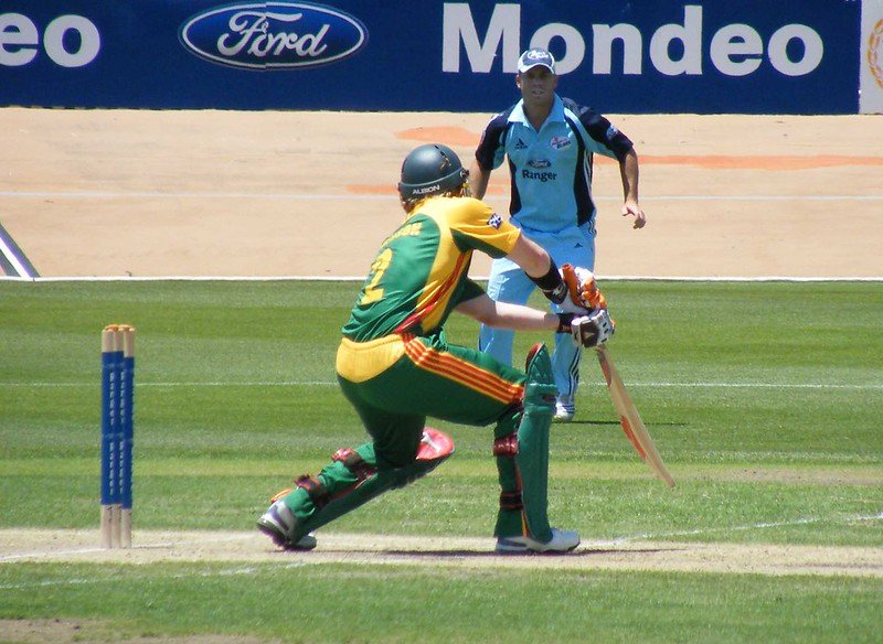 DANE ANDERSON & DAVID WARNER